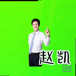 赵凯